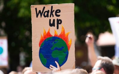 Who cares about the climate emergency?