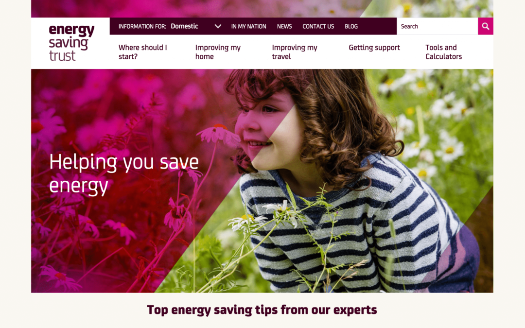 Energy Saving Trust homepage
